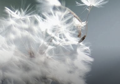 Screen Shot 2022-10-24 at 9.38.40 PM